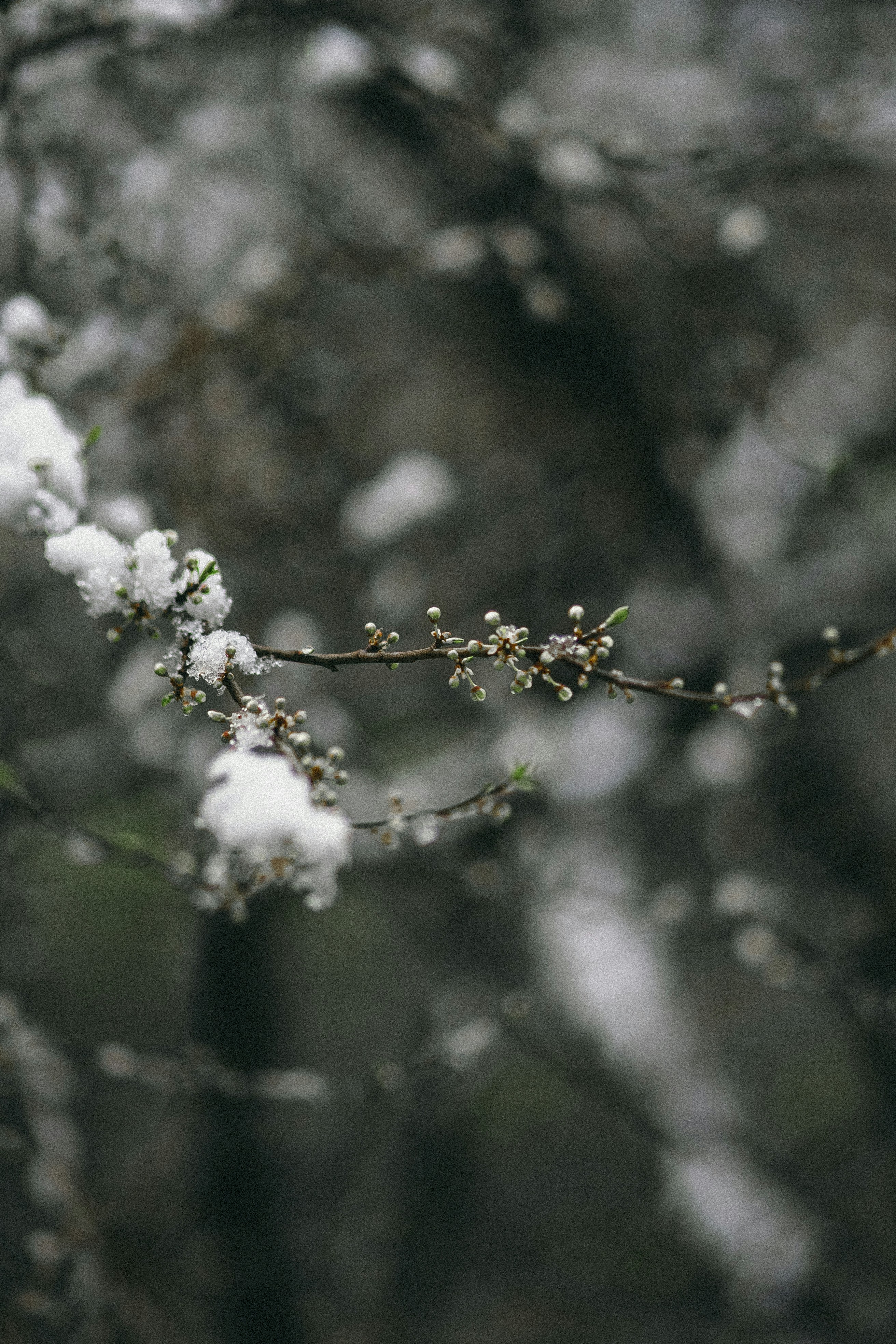 Photo by eugenechystiakov