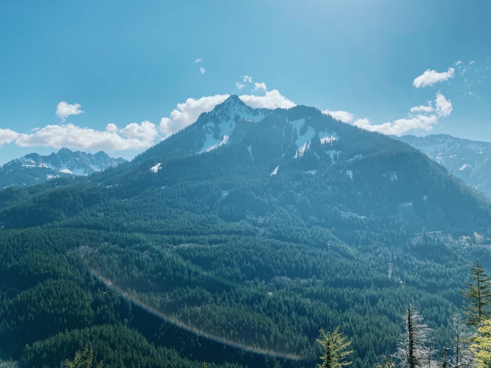 árvores verdes na montanha sob o céu azul durante o dia