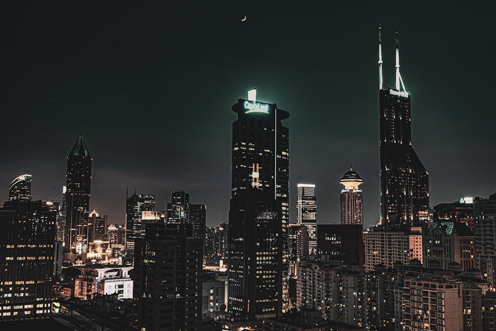 city skyline during night time