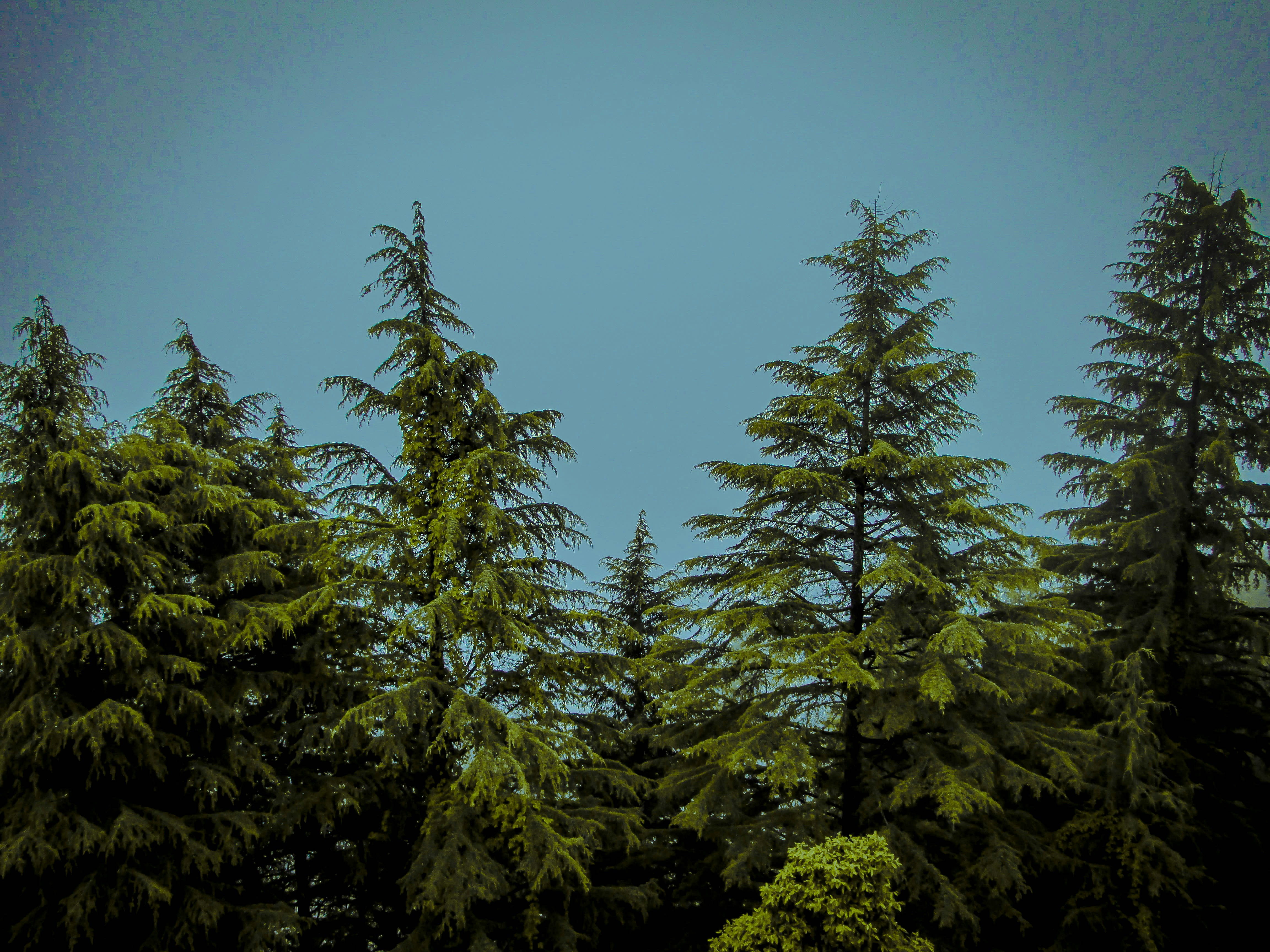 Photo by explorebernard