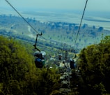 cable cars over green trees during daytime