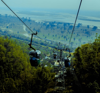 cable cars over green trees during daytime