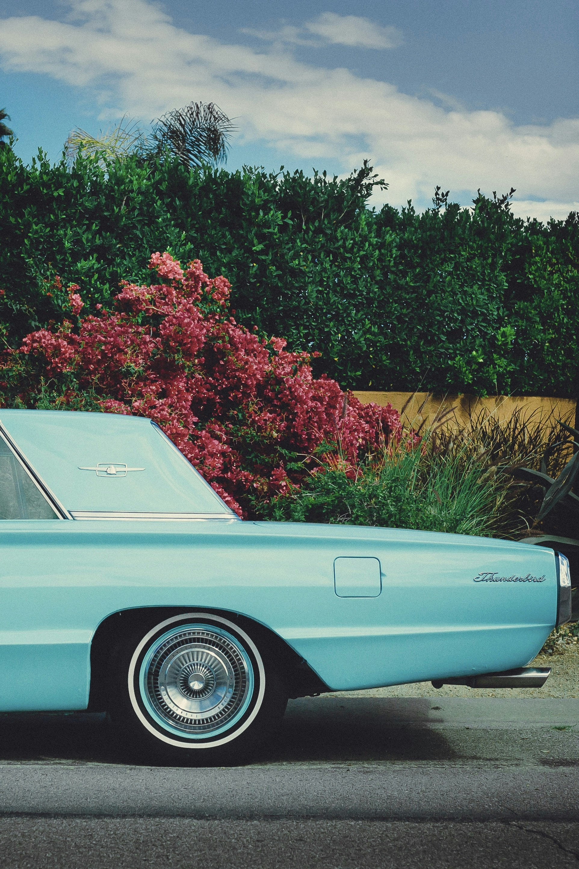 Photo by brandonleclaire