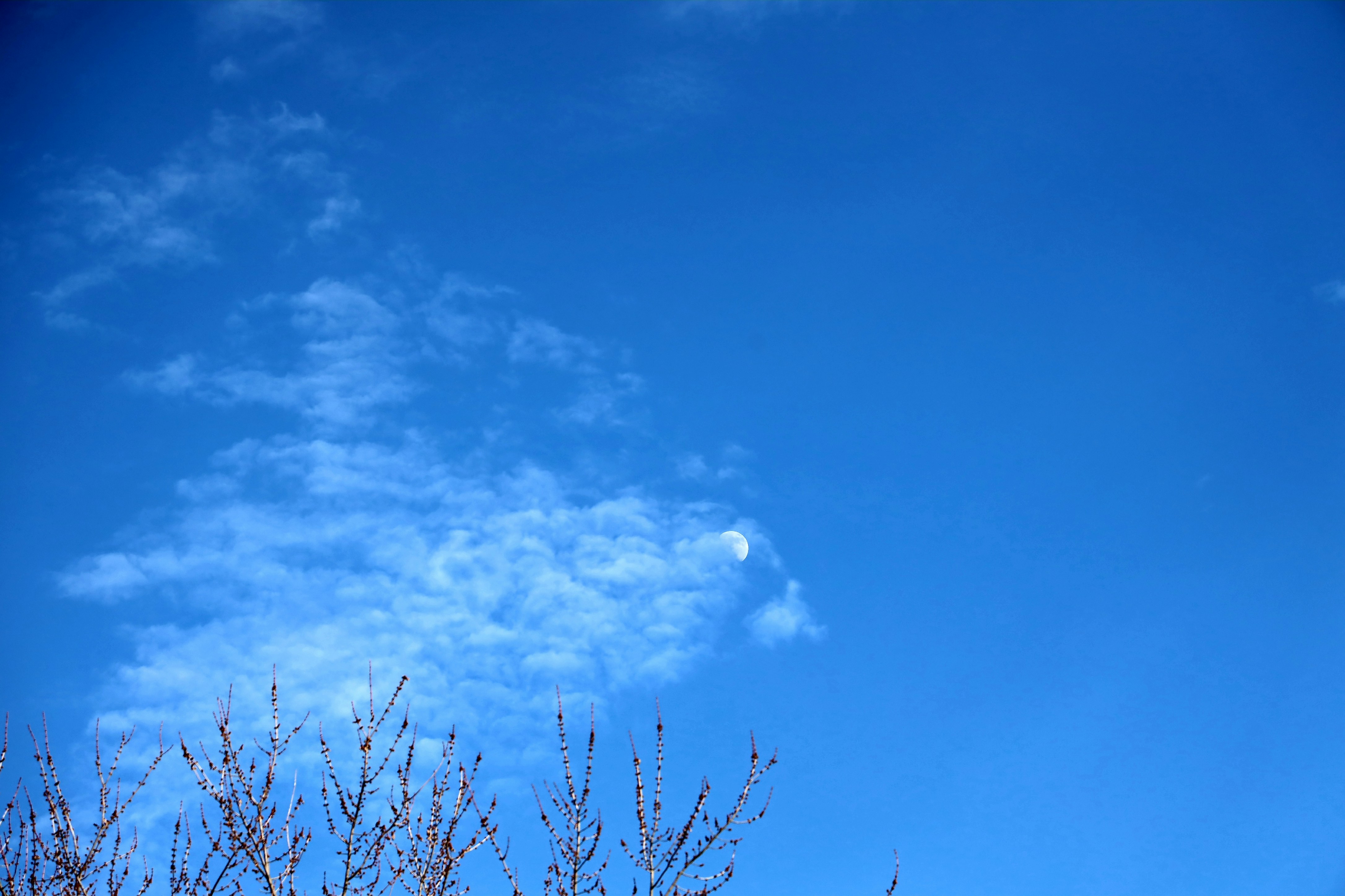 Photo by richardworks