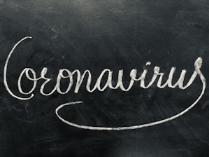 Choosing Your Writing Assistant: Expert Comparison of LanguageTool, Grammarly, ProWritingAid and Fou