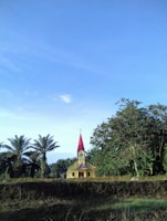 A small, brightly colored church with a red steeple stands amidst lush greenery. Palm trees and other verdant foliage surround the building, and the sky above is clear and blue.