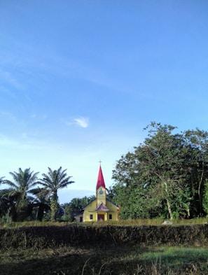 A small, brightly colored church with a red steeple stands amidst lush greenery. Palm trees and other verdant foliage surround the building, and the sky above is clear and blue.