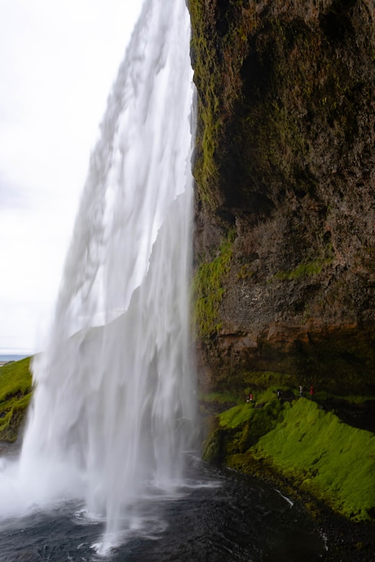 waterfalls on brown rocky mountain during daytime in Seljalandsfoss Iceland