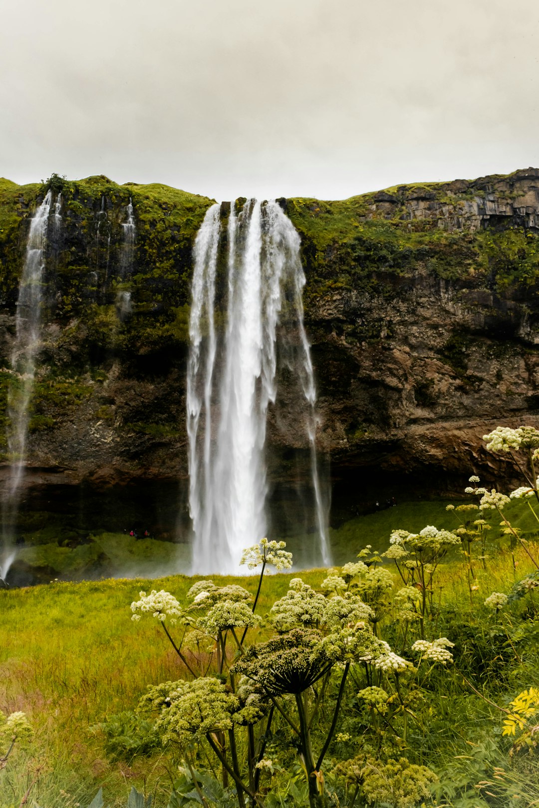 travelers stories about Waterfall in Seljalandsfoss, Iceland