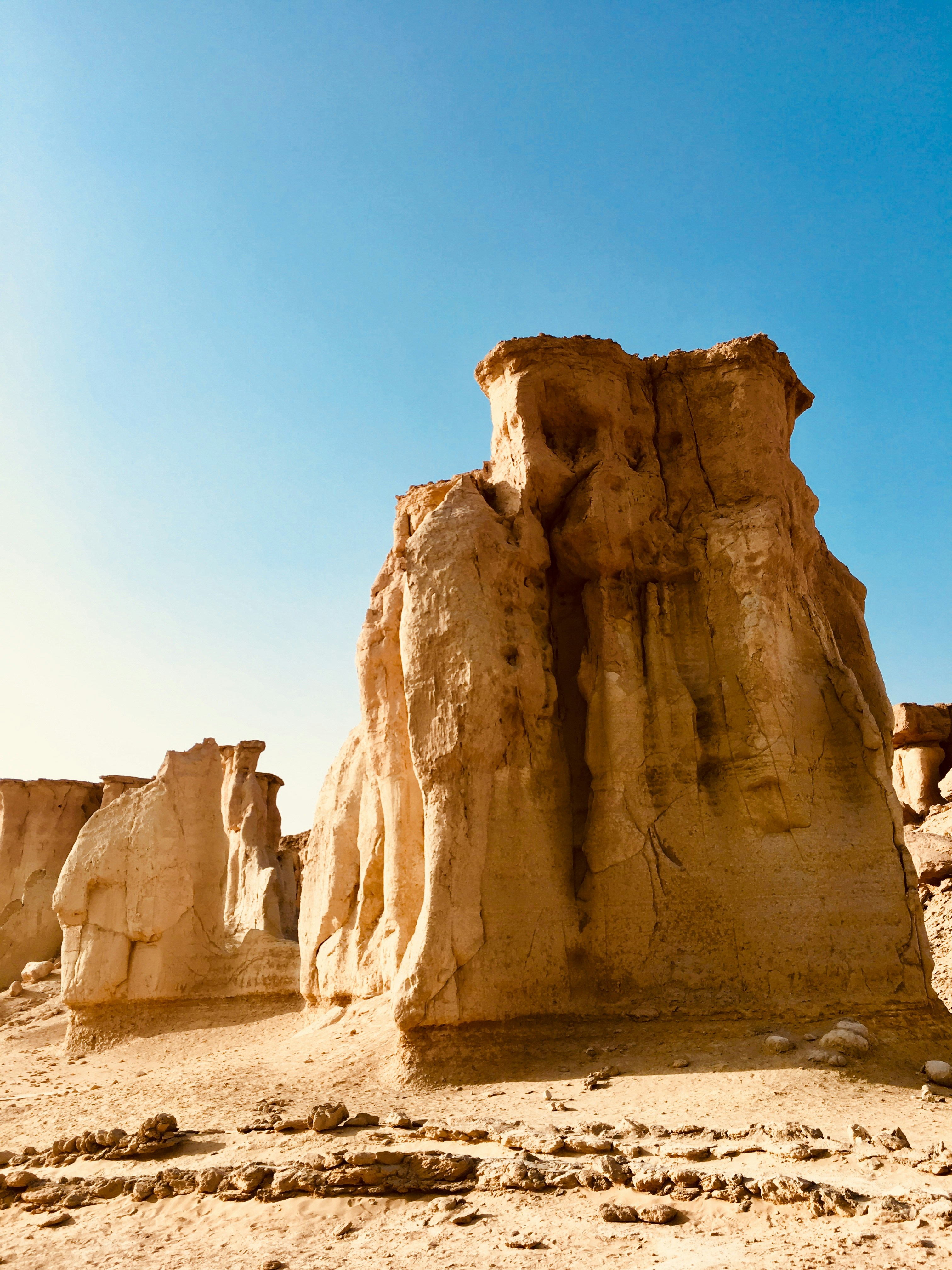 Photo by alirezapourkhani