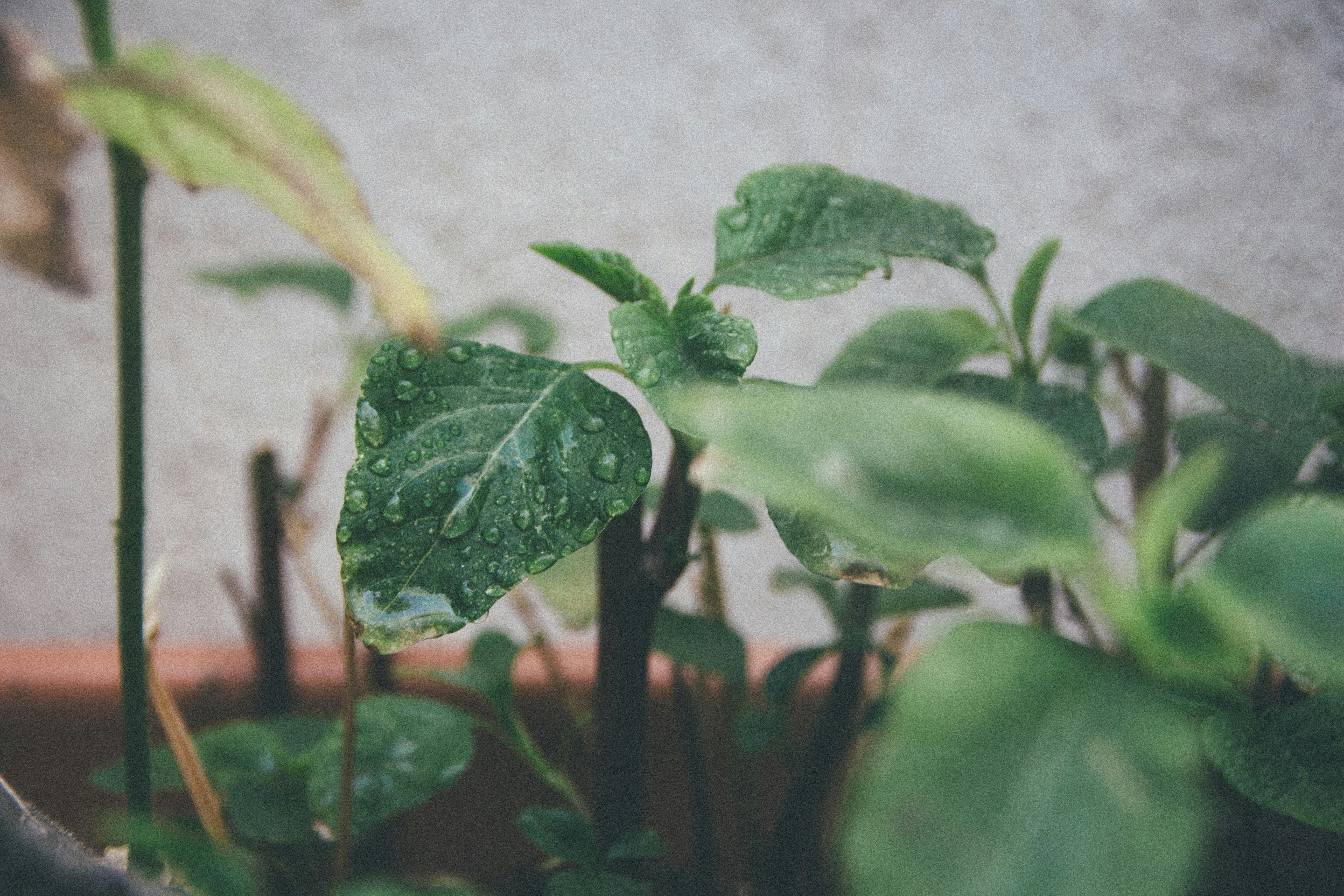 Photo by jeff_mathews