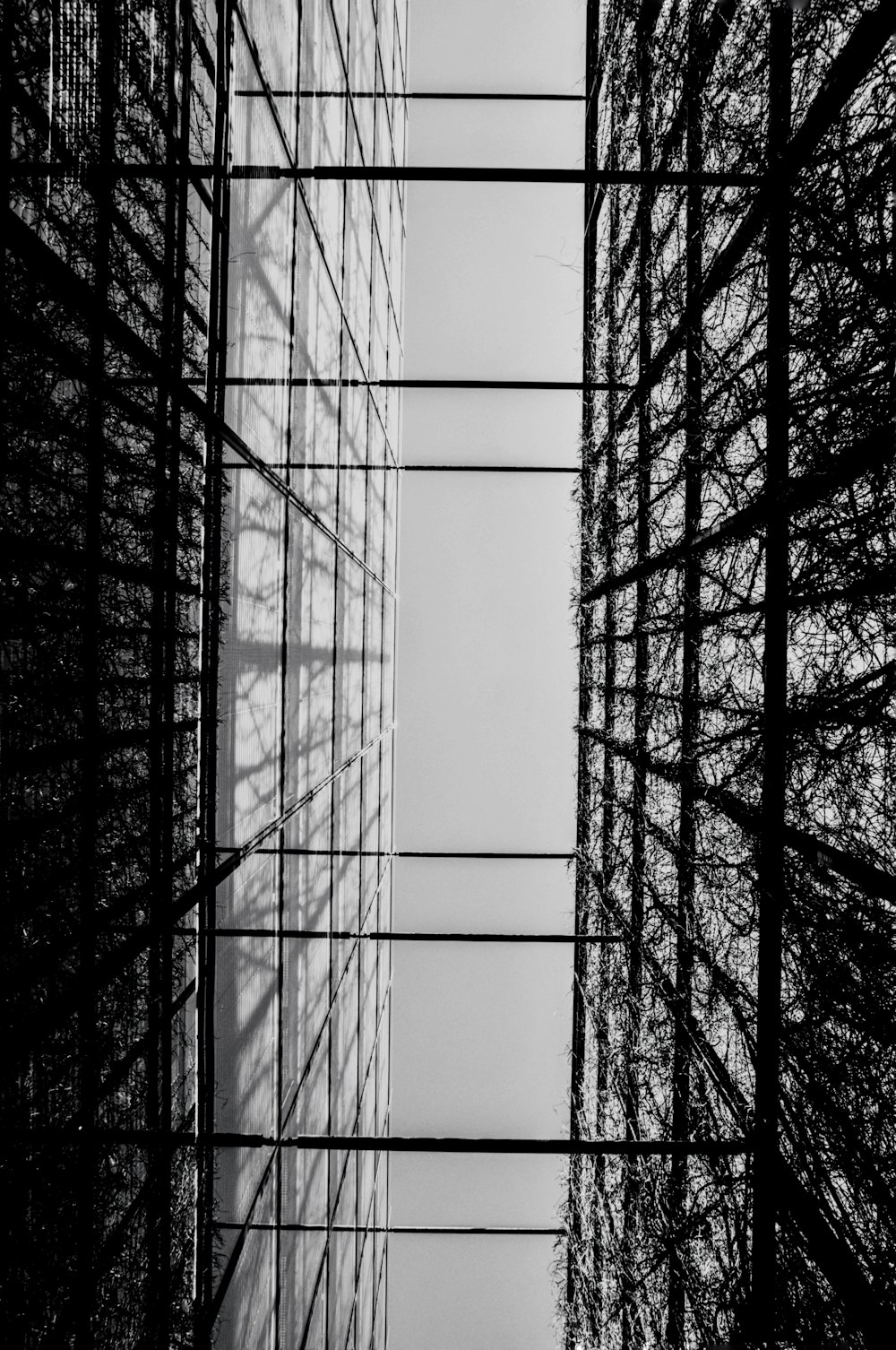 black and white photo of glass window