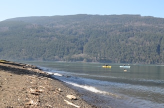 A tranquil lakeside scene with two kayaks paddling on calm water, surrounded by forested mountains. The shoreline is lined with pebbles and driftwood.