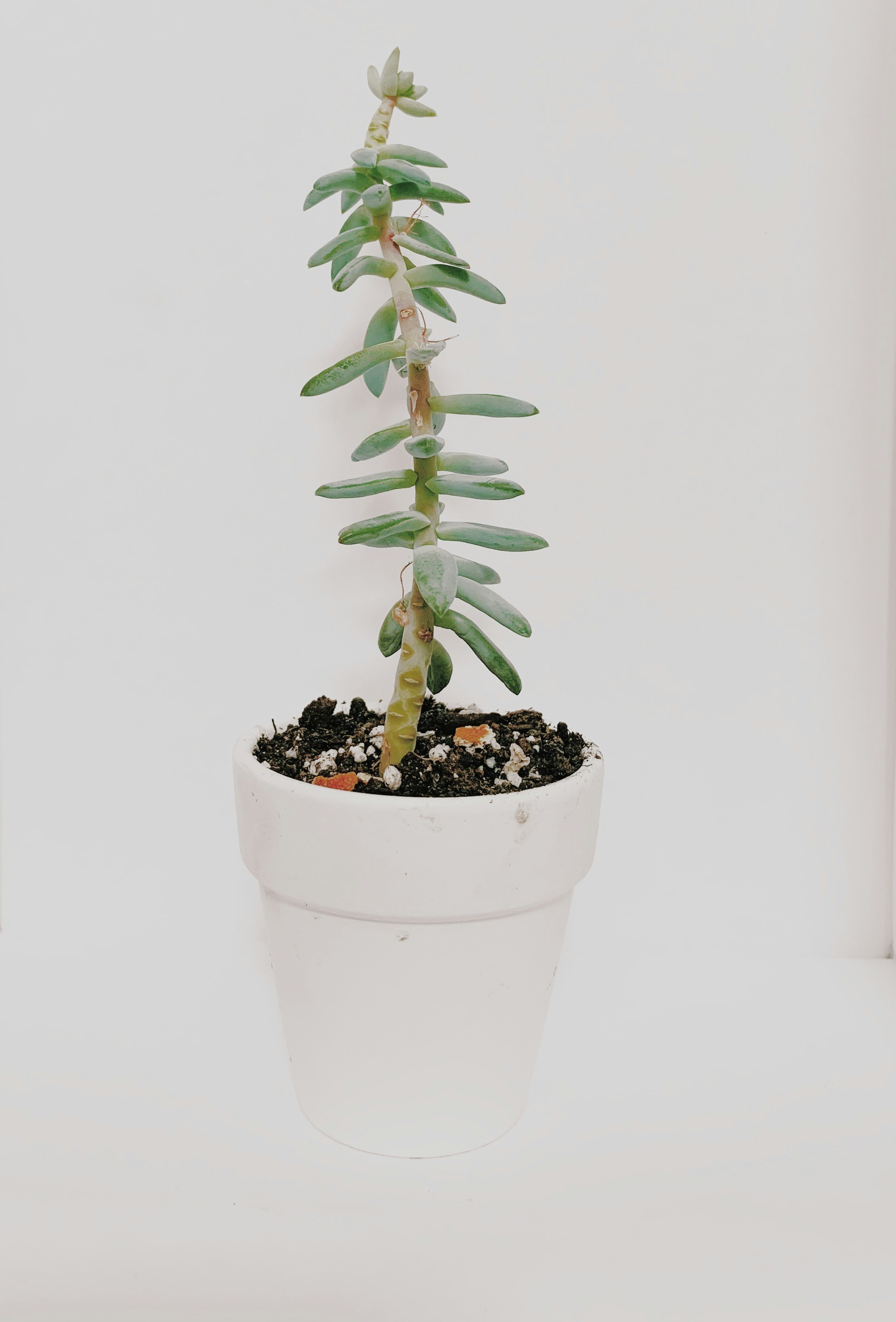 Photo by brett_danner