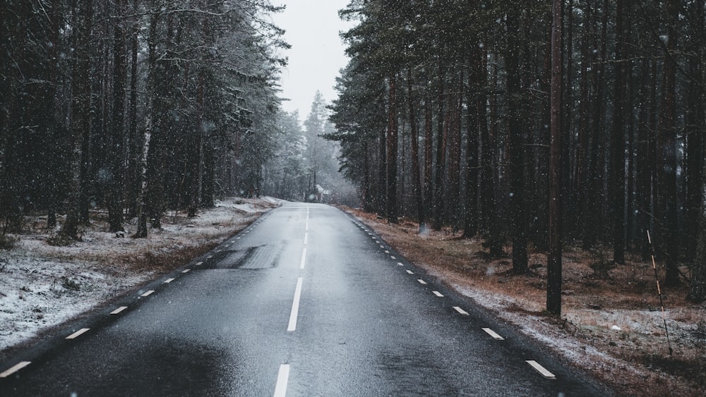 black asphalt road between trees during daytime