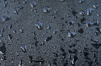Water droplets beading on a treated surface, illustrating the rain-repelling barrier effect.