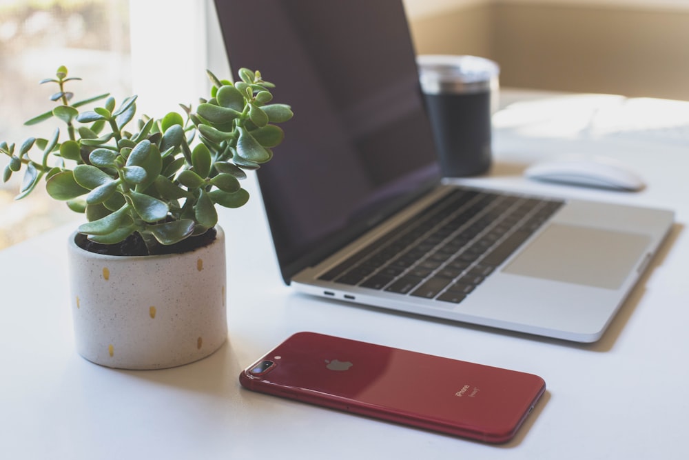 red iphone 7 beside macbook pro