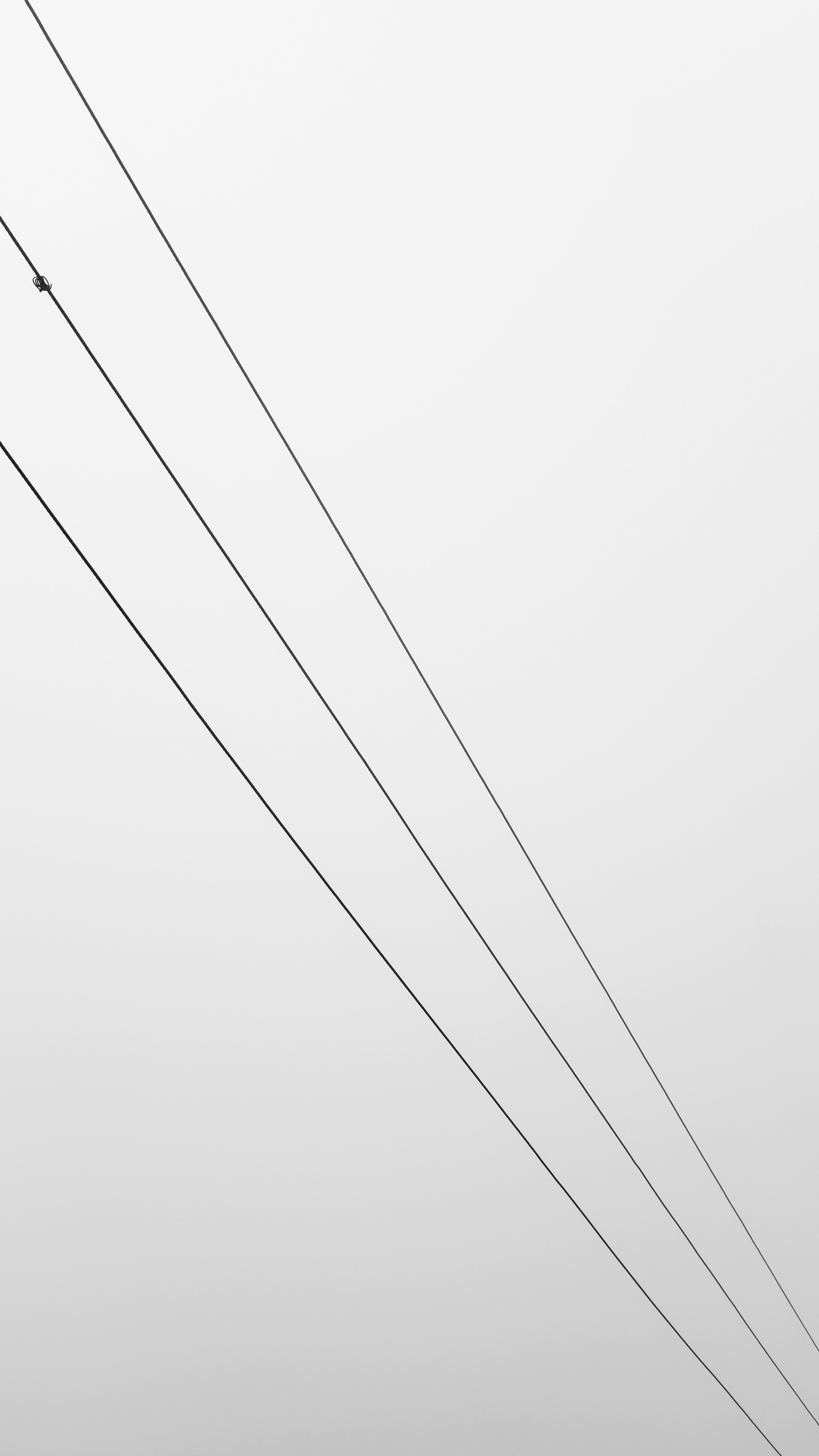 black and white line illustration