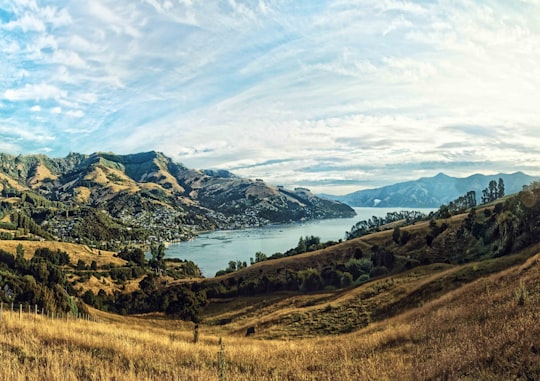 green grass field near lake under white clouds and blue sky during daytime in Akaroa New Zealand