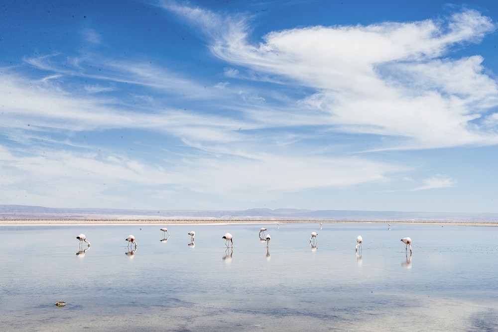 group of people on beach during daytime