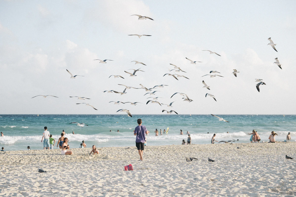 Playa del Carmen scene at golden hour