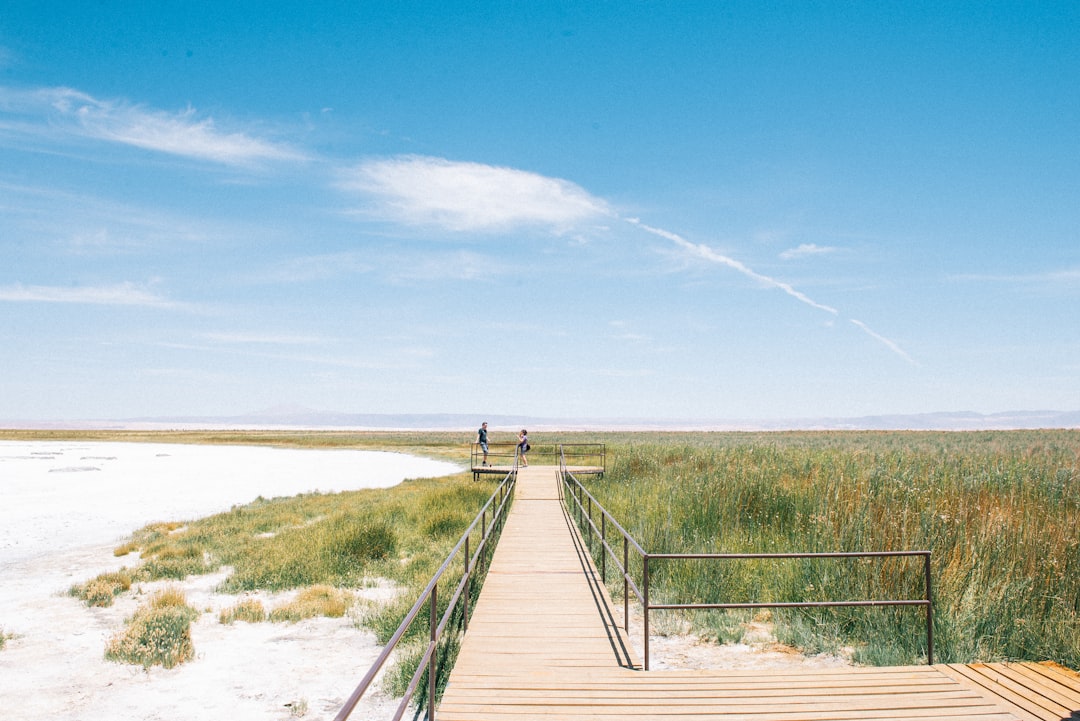 travelers stories about Nature reserve in San Pedro de Atacama, Chile