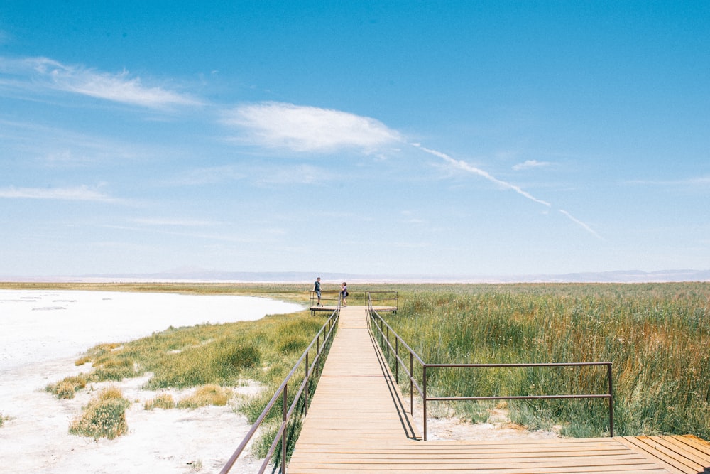 brown wooden dock on beach during daytime