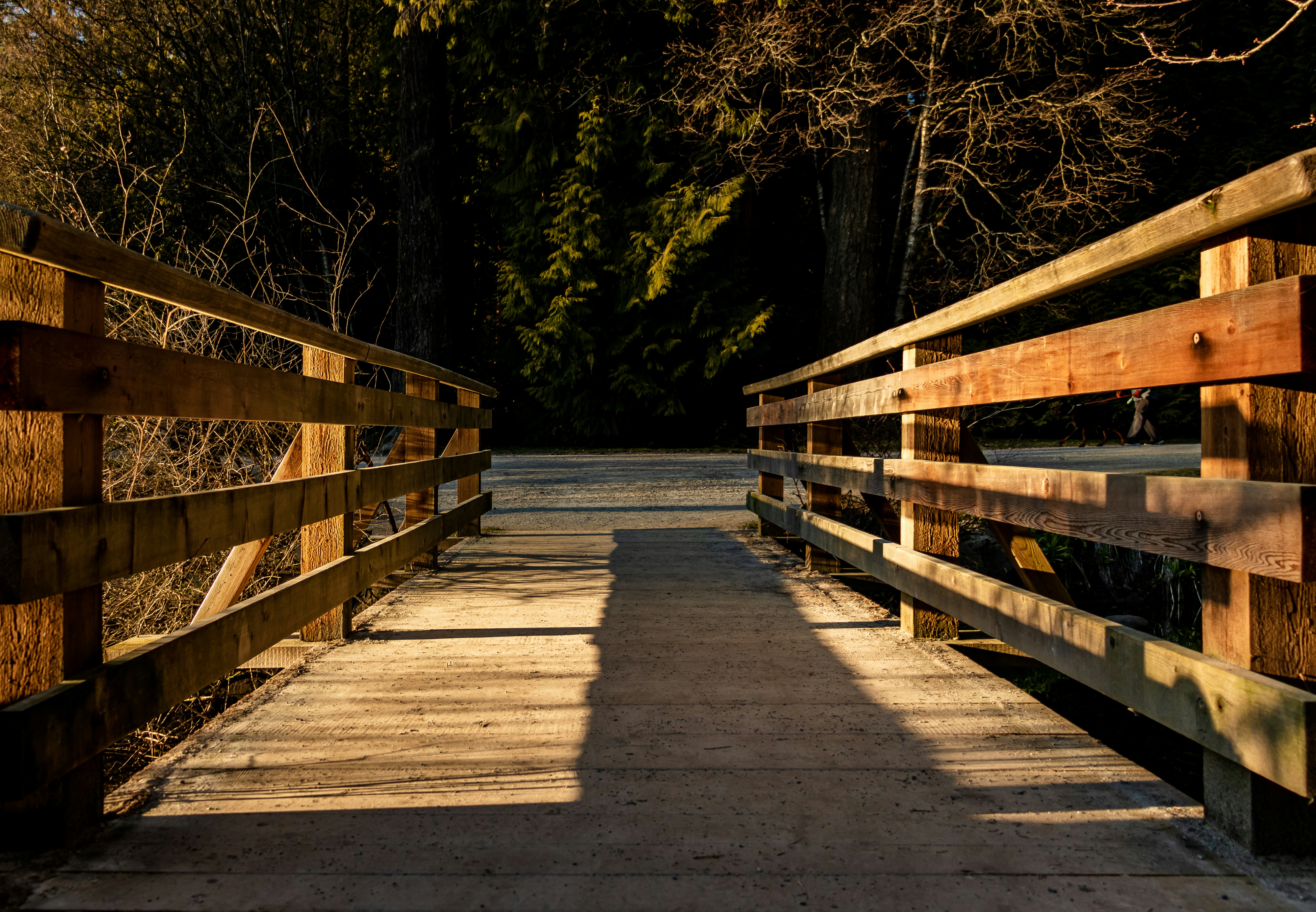 Photo by _staticvoid