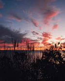 A vibrant sunset scene on canvas, blending soft sand tones with bold charcoal silhouettes.