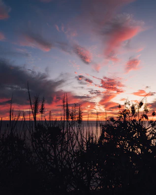 A vibrant sunset scene on canvas, blending soft sand tones with bold charcoal silhouettes.