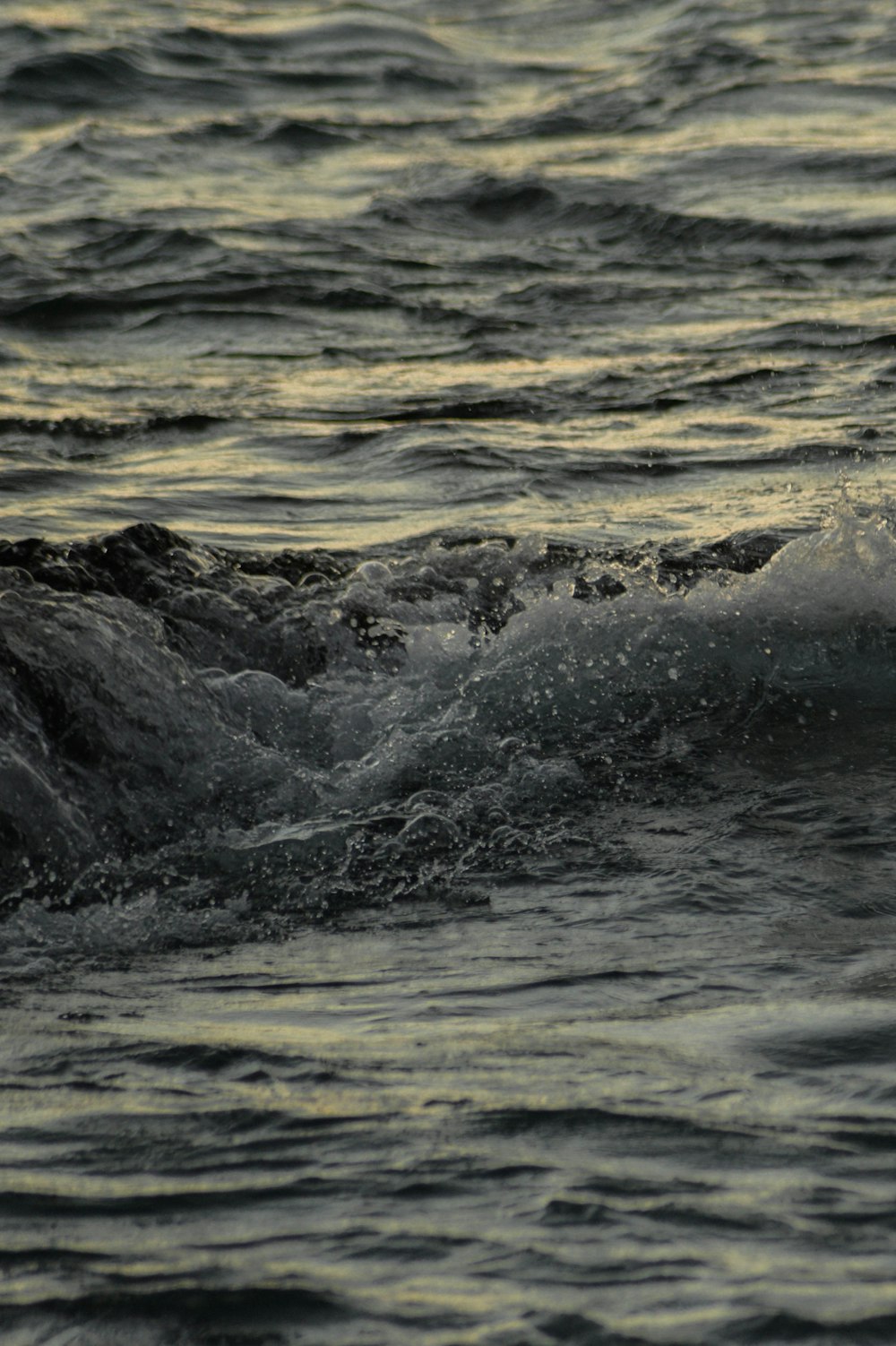 water waves on the shore