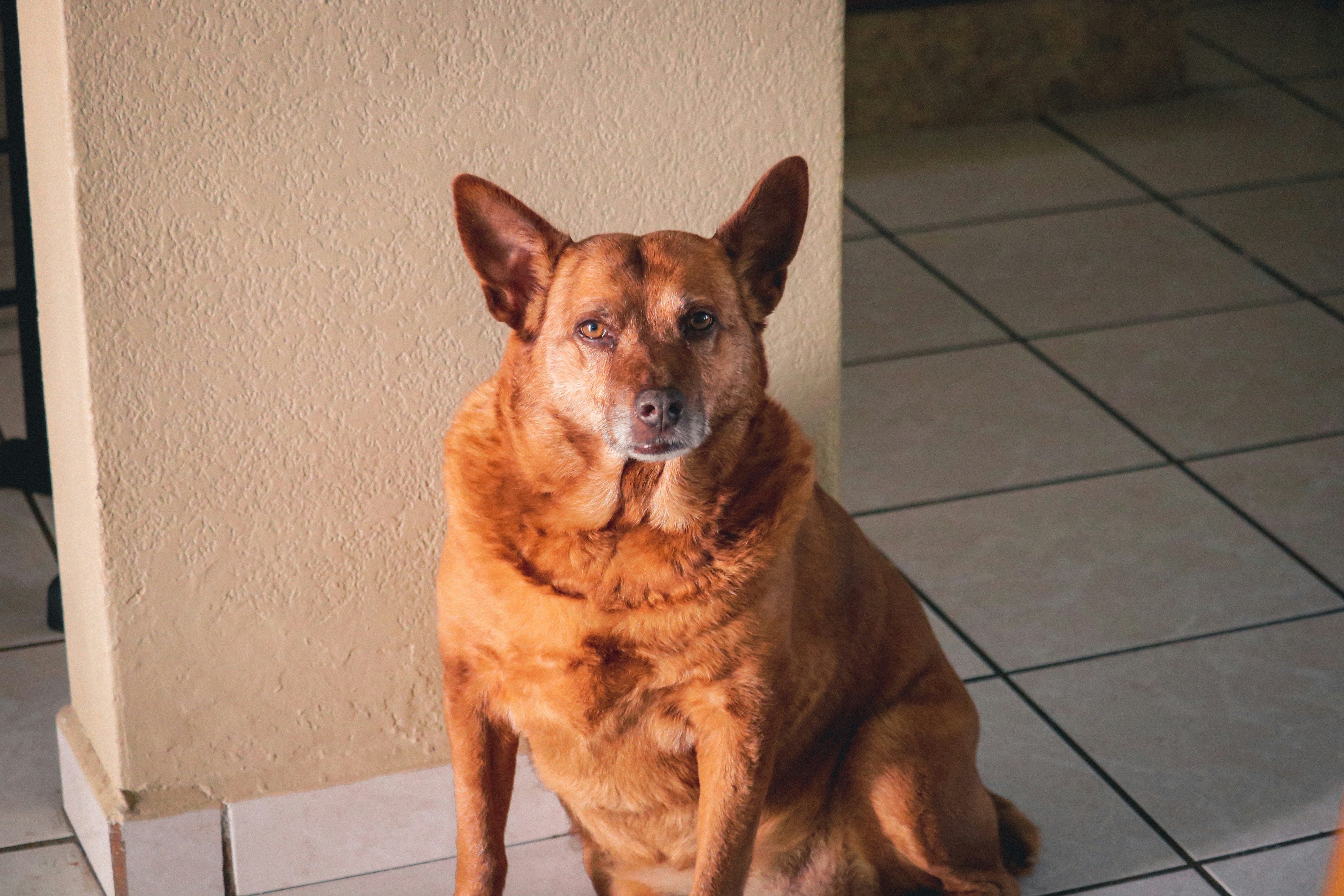 Photo by isisallegra_