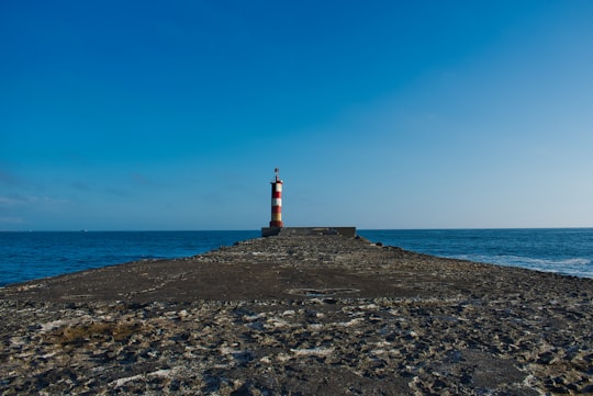 red and white lighthouse on brown rocky shore under blue sky during daytime in Vila do Conde Portugal