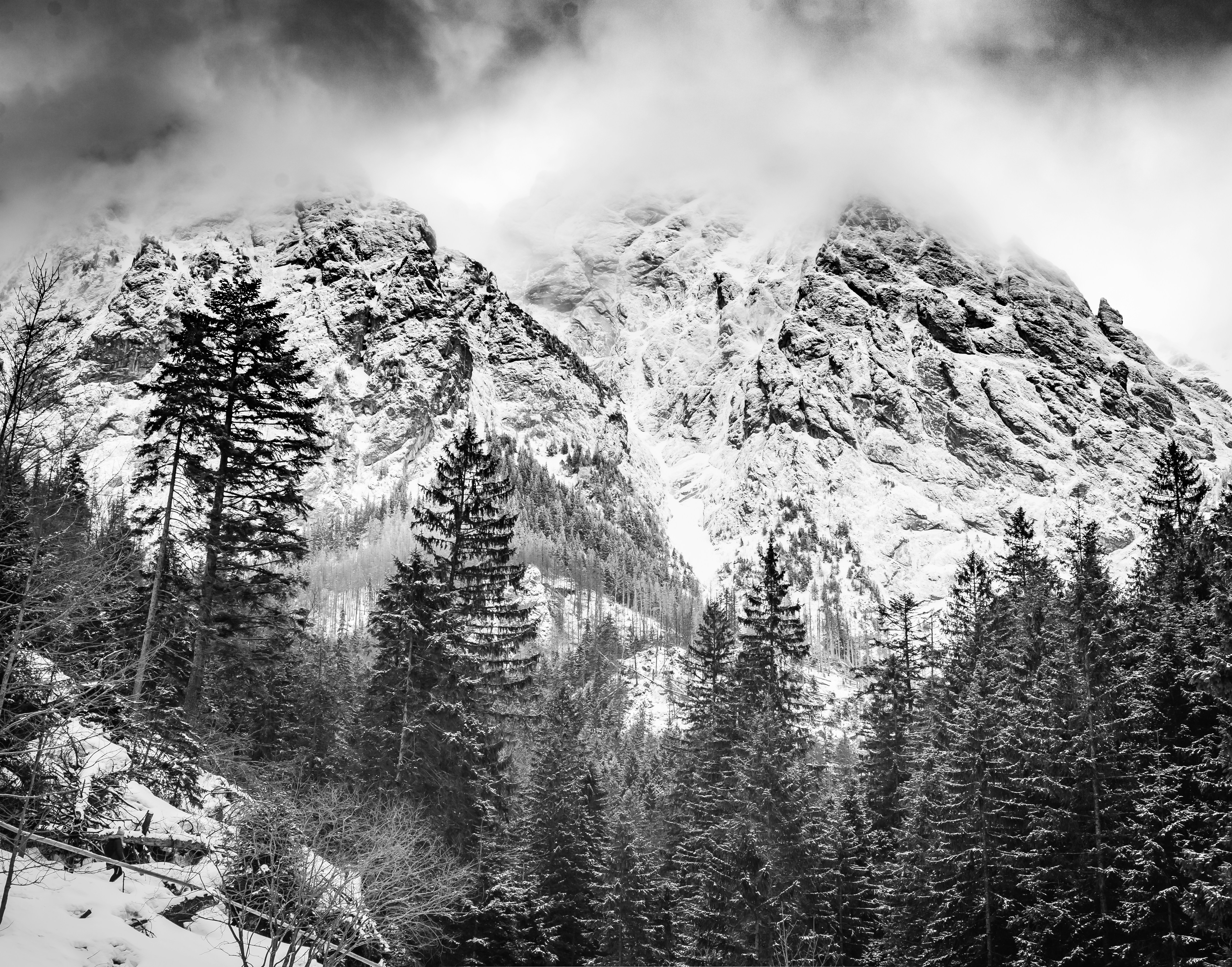 Photo by wladkiselev