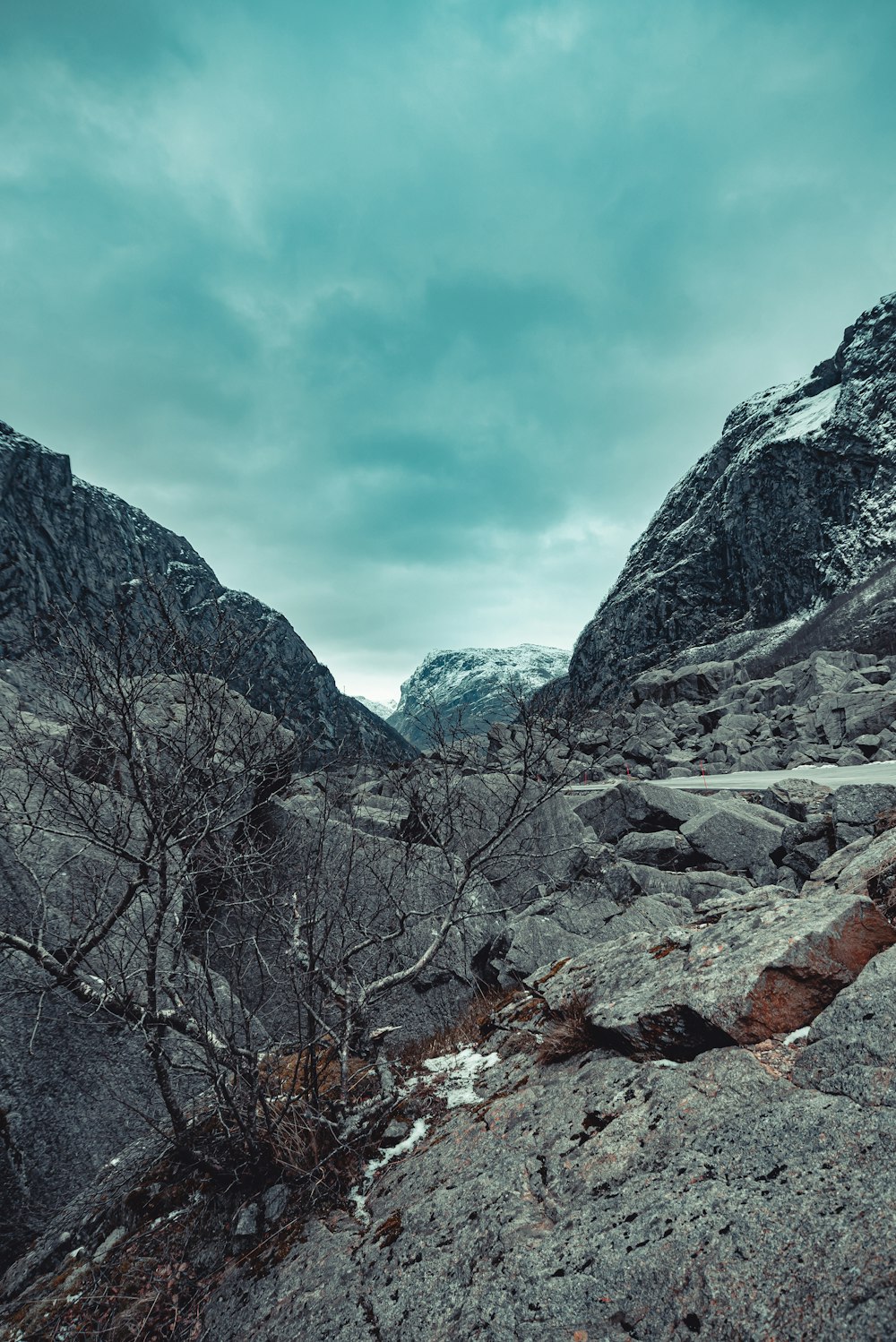 bare trees on rocky mountain under cloudy sky during daytime