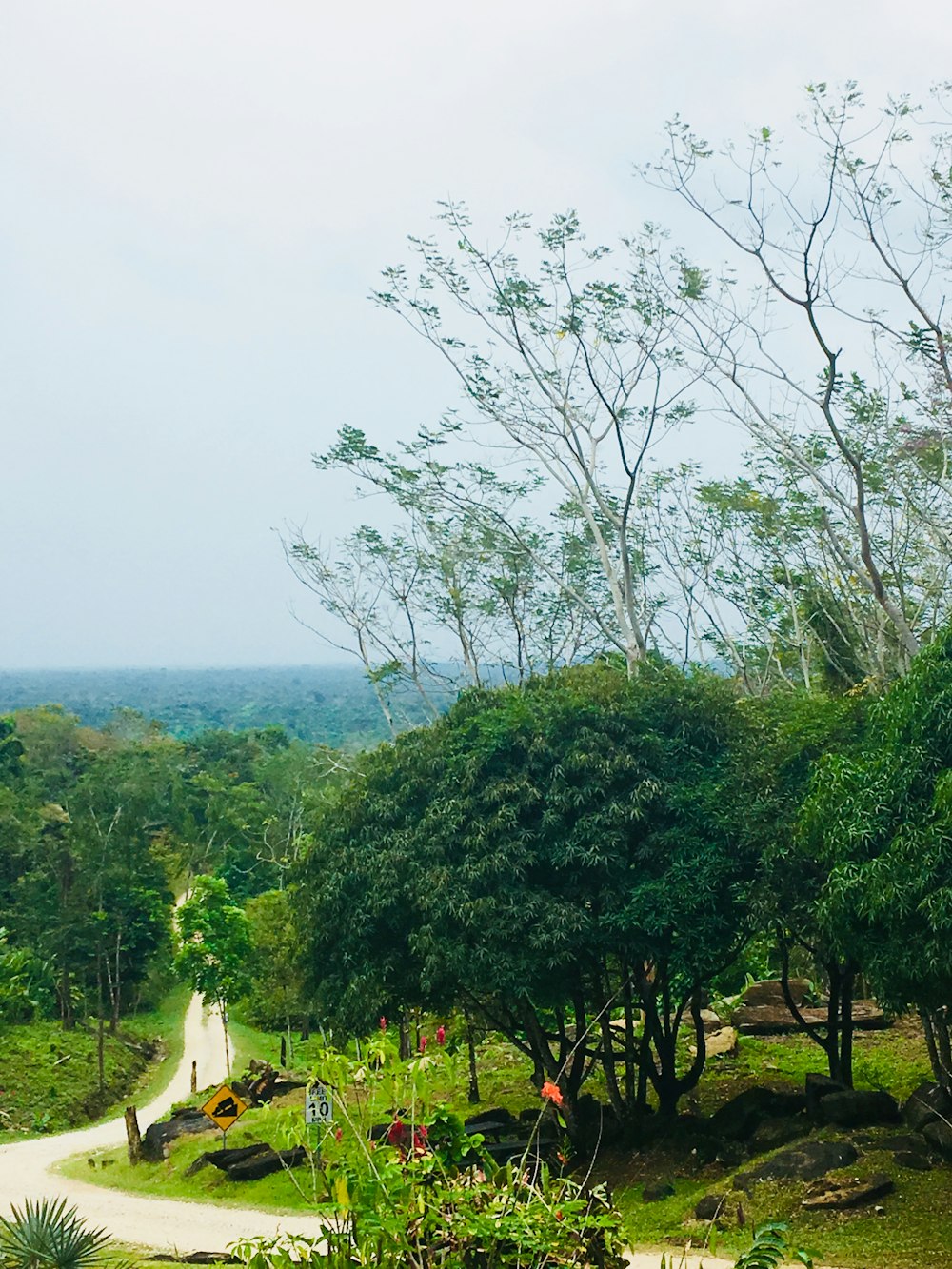 woman in white dress walking on pathway between green trees during daytime