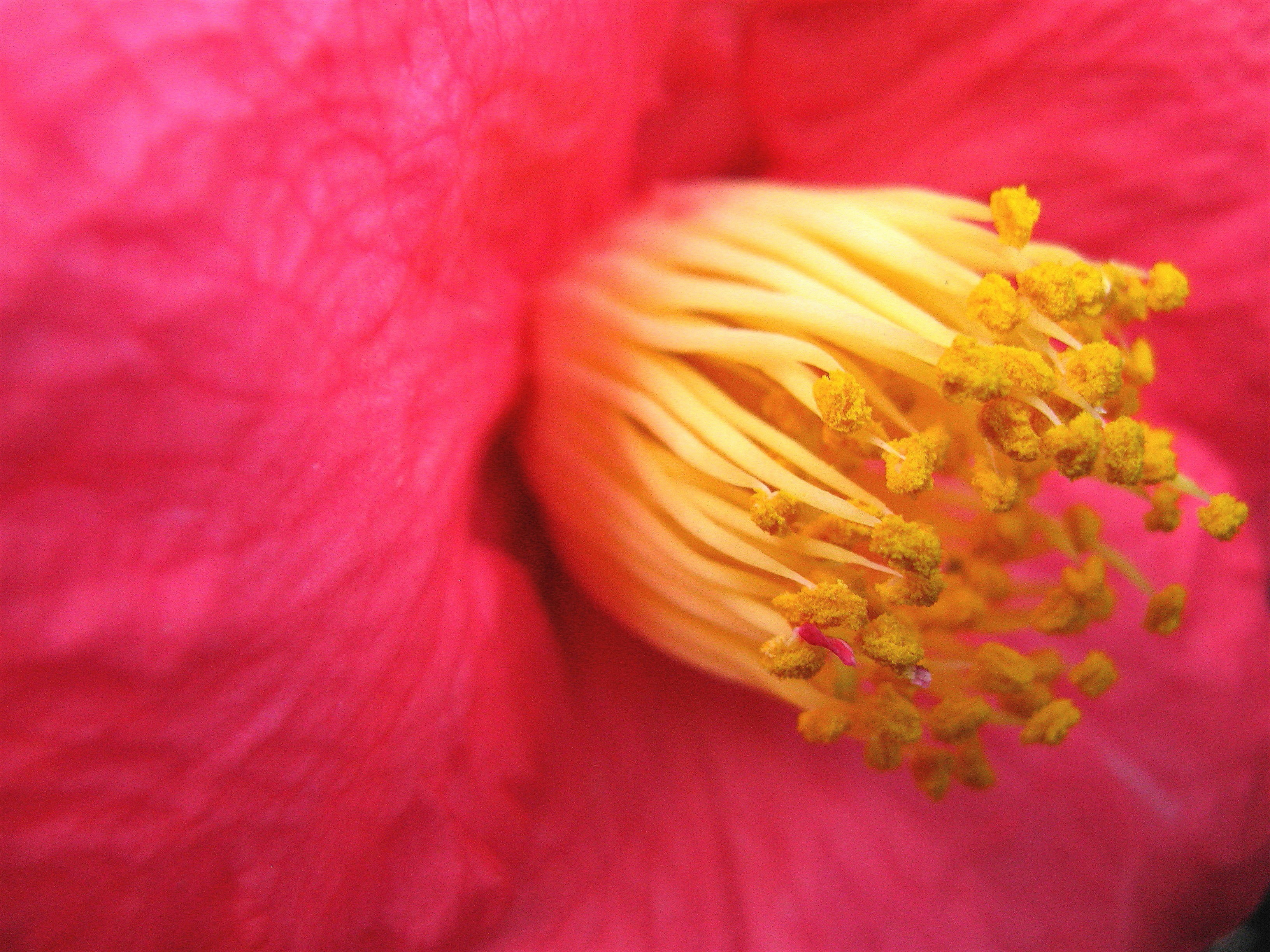 Photo by arozwadowska