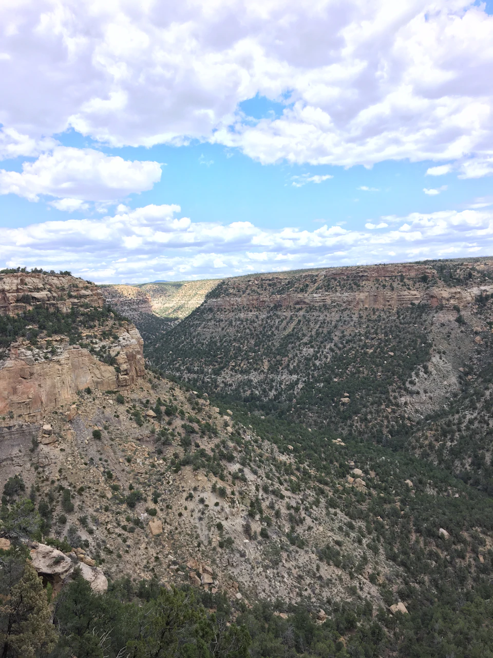 The image depicts a breathtaking view of a canyon, with a deep blue sky dotted with fluffy white clouds above and a rugged cliff face on either side. The canyon is filled with lush green vegetation, including trees and shrubs that add a vibrant contrast to the rocky terrain. The perspective from which the photo was taken allows for an expansive view of the canyon's grandeur, showcasing its natural beauty and the harmonious blend of man-made structures and untouched wilderness.

The image does not contain any discernible text or countable objects, making it a captivating visual experience that invites viewers to imagine themselves standing on the cliff face, taking in the stunning panorama before them.