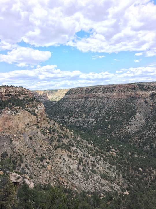 brown and green mountain under blue sky during daytime in Mesa Verde National Park United States