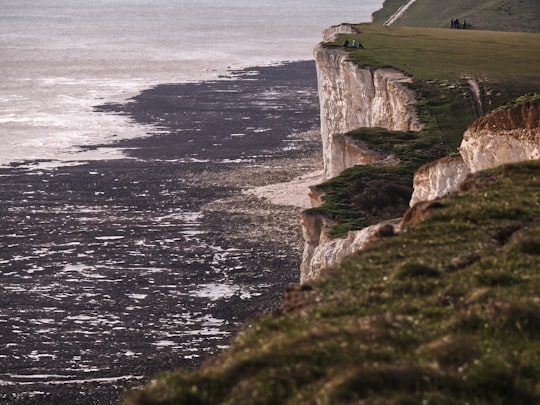 brown and green cliff beside body of water during daytime in Beachy Head United Kingdom