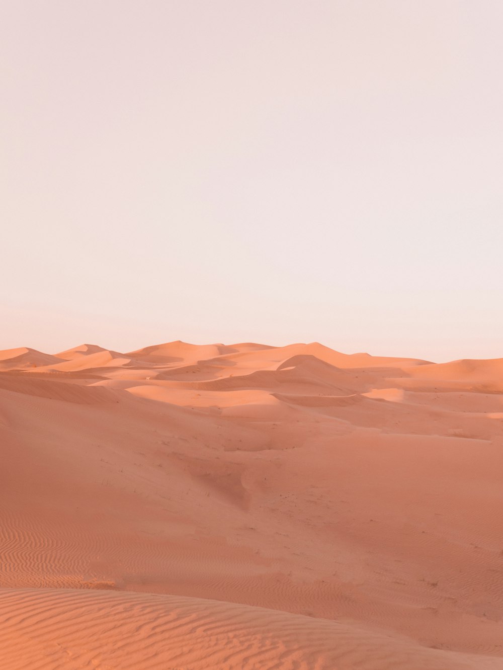 Desierto marrón bajo el cielo soleado