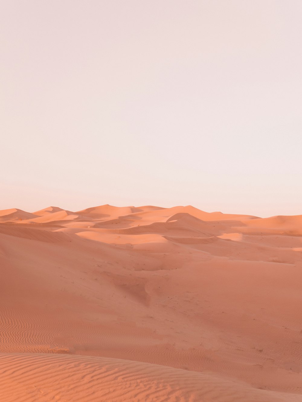 brown desert under sunny sky