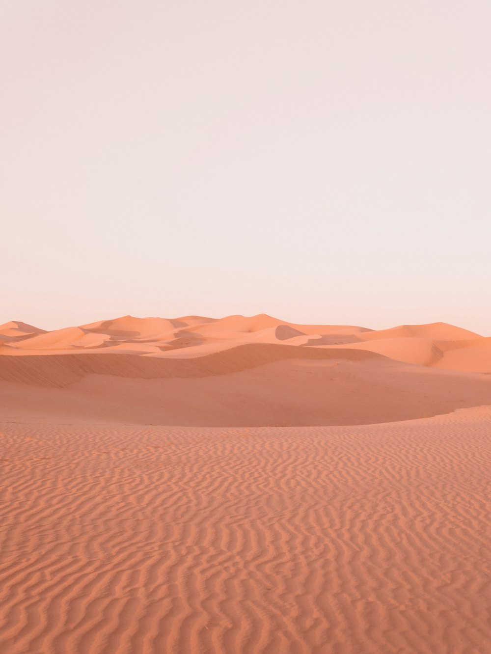 낮에는 하얀 하늘 아래 갈색 사막