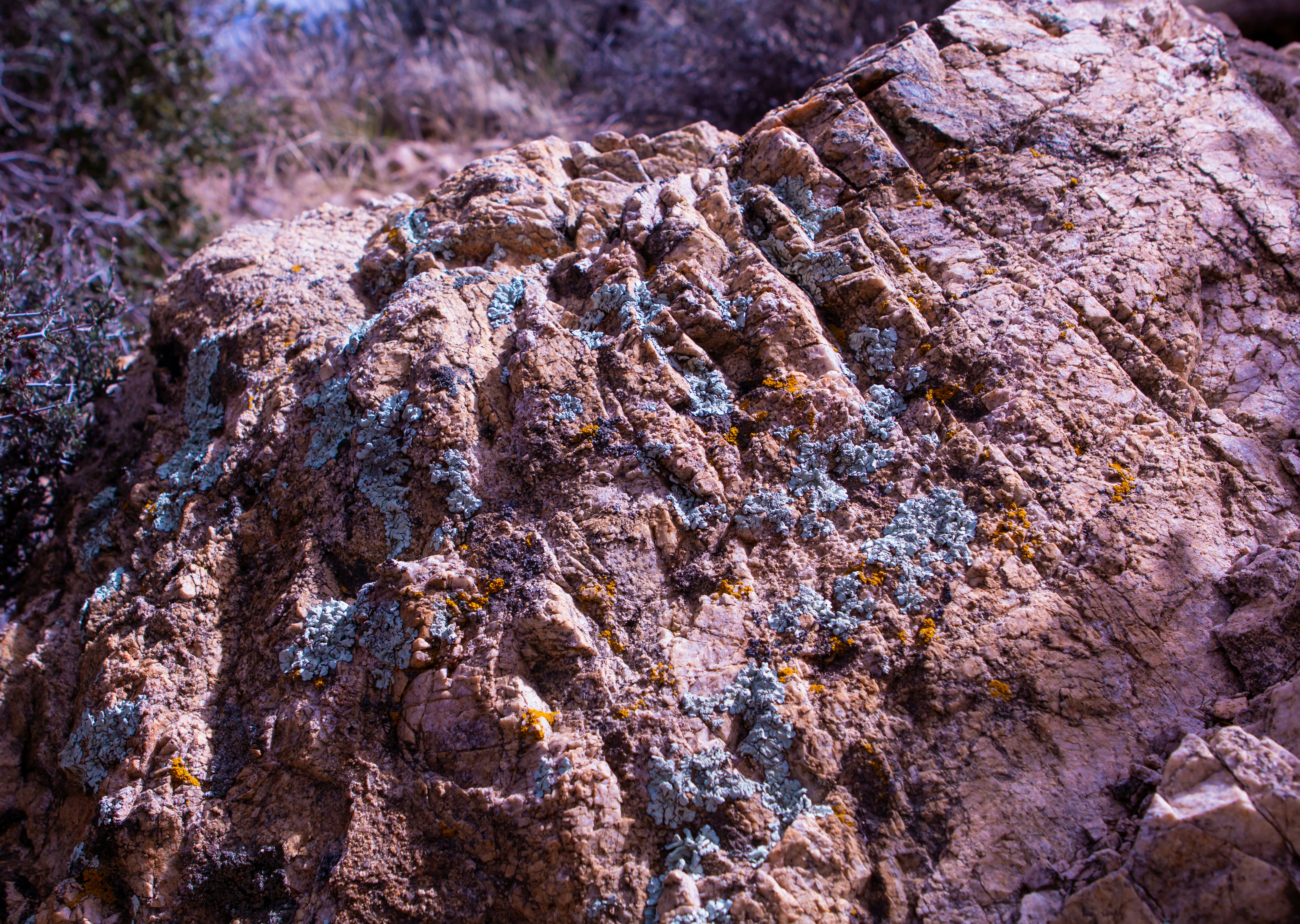 brown rock near green grass during daytime