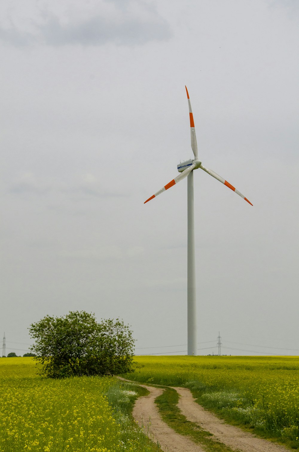 weiß-rote und blaue Windmühle auf grünem Rasenfeld unter weißem Himmel tagsüber