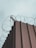 A tall metal fence with sharp-edged vertical panels topped with barbed wire spirals that curl into the sky, creating a sense of security and enclosure. The sky above is overcast, giving the scene a muted and stark atmosphere.