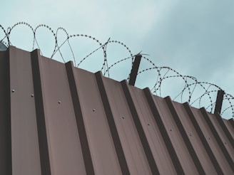 immigration detention facility representing ICE detention proceedings