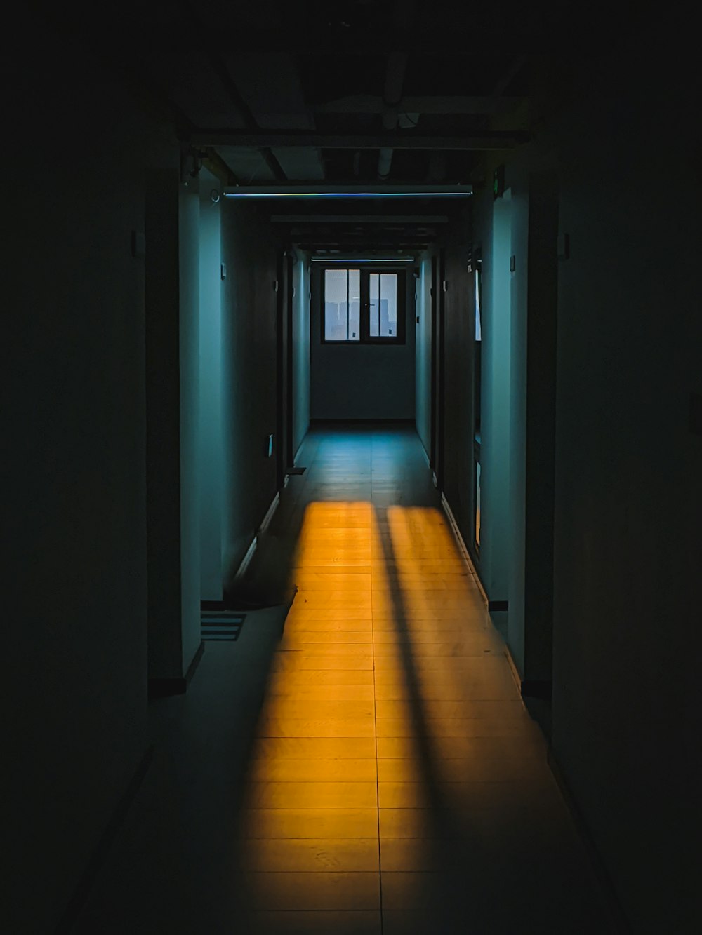 brown wooden hallway with blue wooden doors