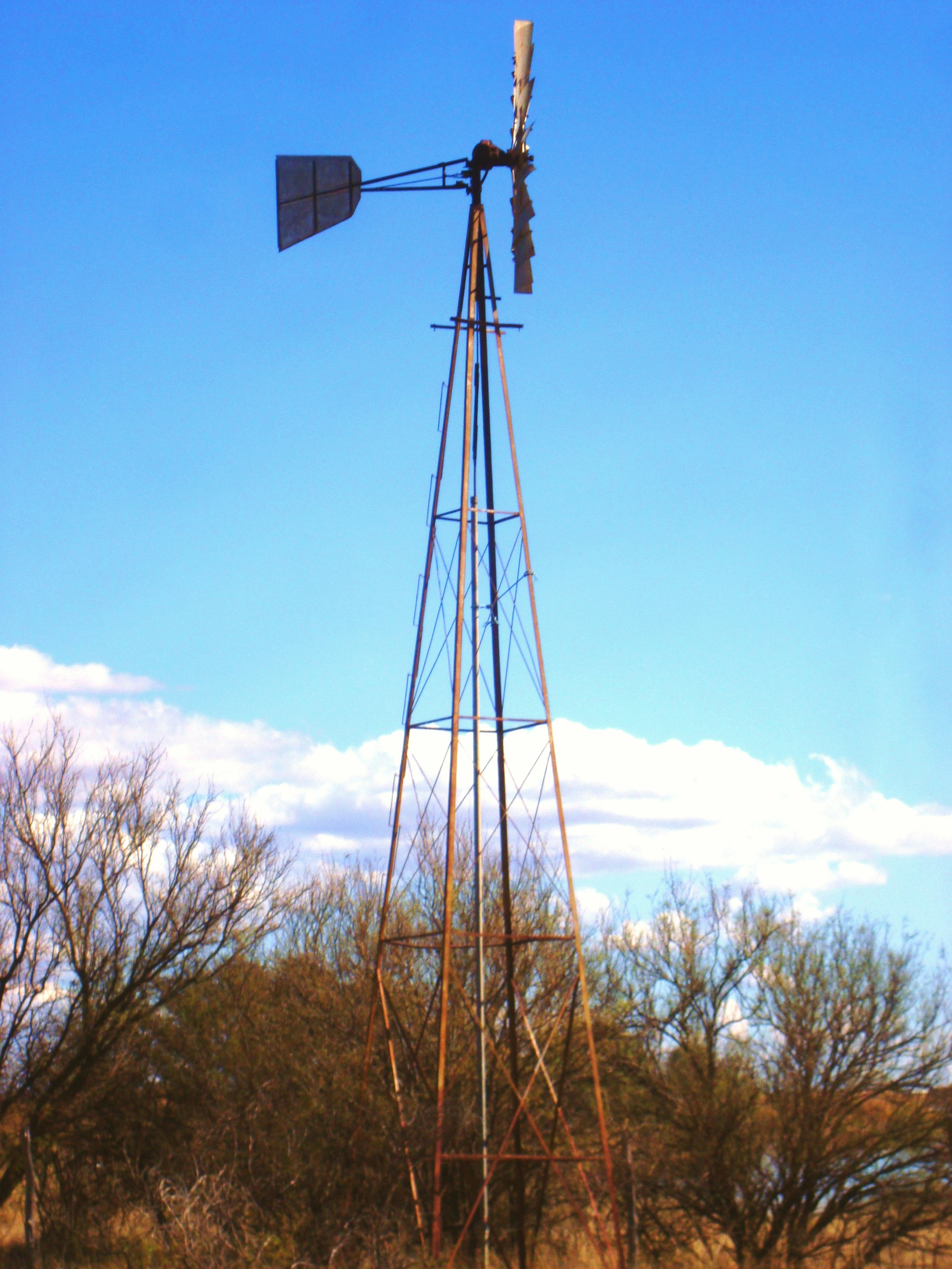 Mennonite windmill, water pump surrounded by shrubs under partly cloudy skies.