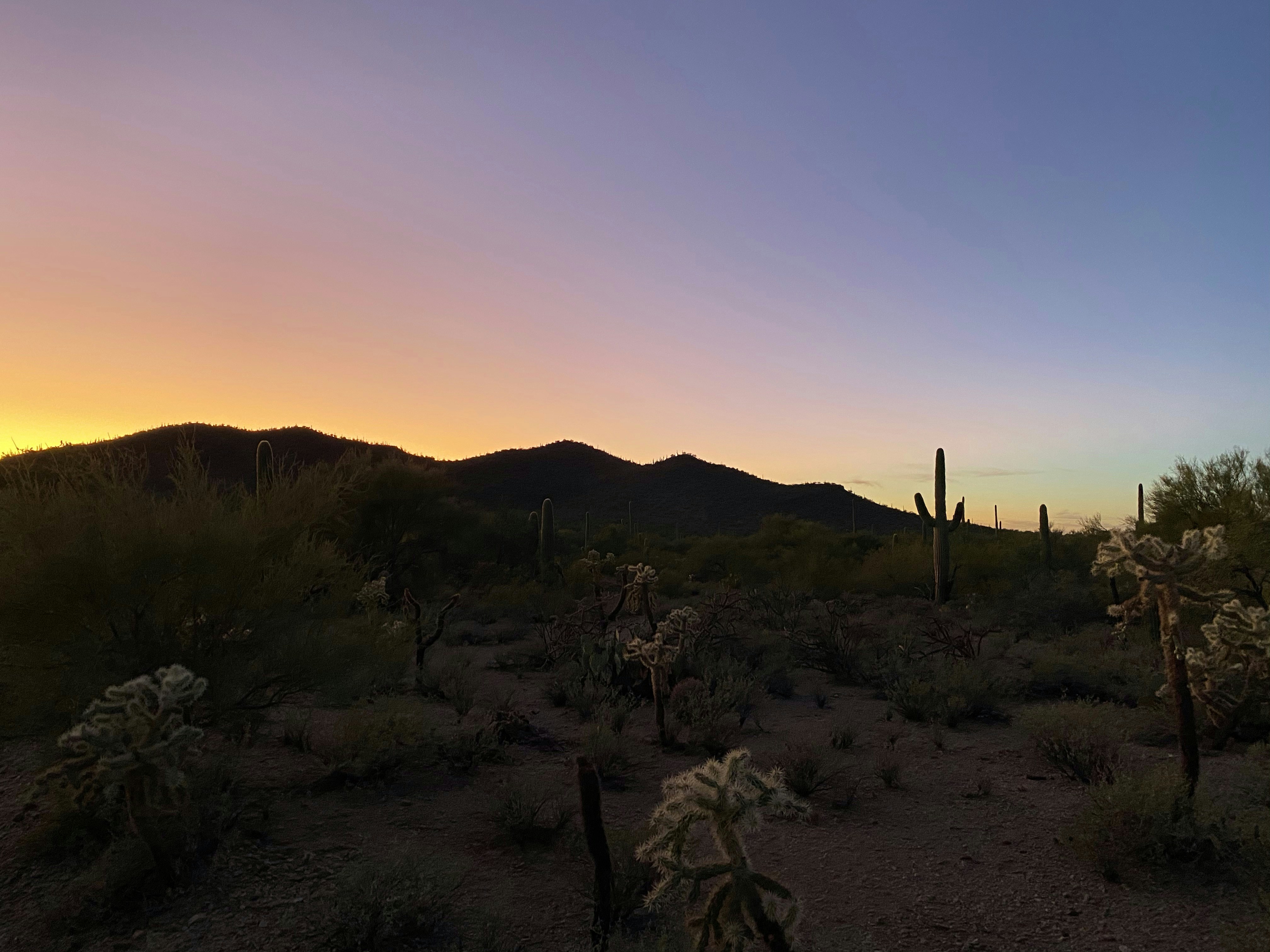 Photo by picsbyjameslee